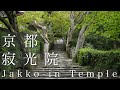 【京都の庭園】寂光院|Jakko-in【Kyoto Japanese Garden】