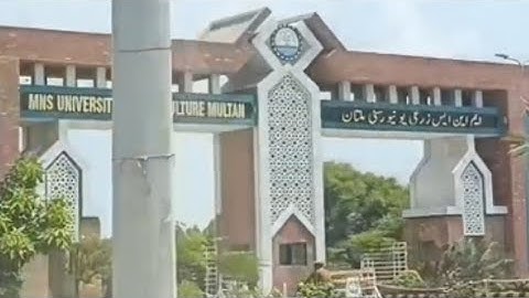Landscape of MNS University of Agriculture Multan # landscapedesign #plants  #nature   #viralvideos.