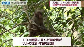 Oita] How do they count the monkeys at Mt. Takasaki? - YouTube