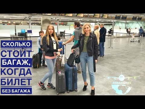 Сколько стоит багаж в самолете если билет без багажа |KLM |#Авиамания