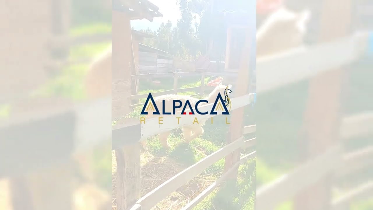 Peruvian Artisans / Alpaca Retail