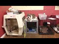 Dog Training Duration Commands | Duration Place and Treadmill Practice Dog Training Duration Commands | Duration Place and Treadmill Practice