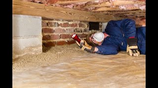 FREE Termite Inspection In Manahawkin NJ 732-349-0559 Ozane.com