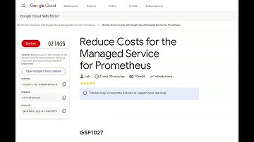 Reduce Costs for the Managed Service for Prometheus - GSP1027 - New 2025