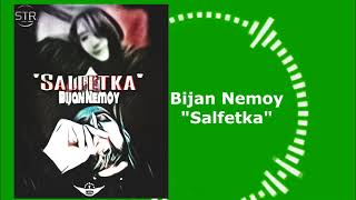 Bijan Nemoy  - Salfetka (Audio Version)