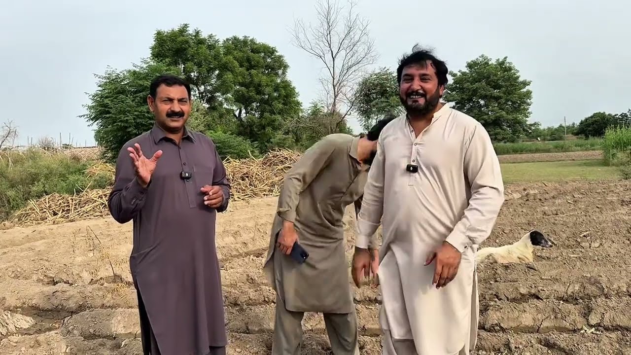 june ,July main Gobhi ki Kashat | Anjum Saroya New Vlog | Anjum Saroya