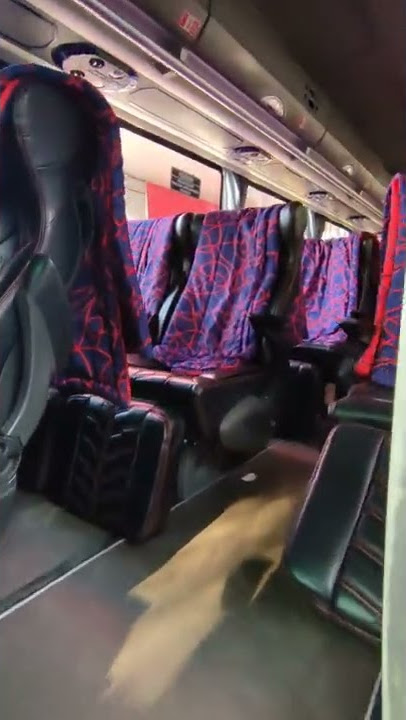 STJ 'FATHANA' #stj #stjfathana #kardusbalap #tamcargo #volvo #shorts #shortvideo #fyp #ayonaikbus