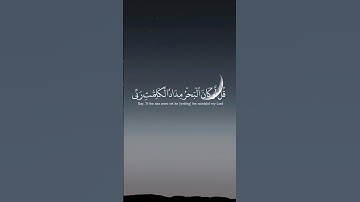 ( قُل لَّوْ كَانَ الْبَحْرُ مِدَادًا لِّكَلِمَاتِ رَبِّي ) بصوت القارئ اسلام صبحي ❤️❤️