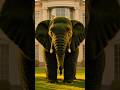 Elephant – The Gentle Giant That Never Forgets 🐘🔥 | Wild Form Creations