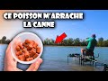 Cet appt  magique  me sauve ma partie de pche au feeder dans le canal