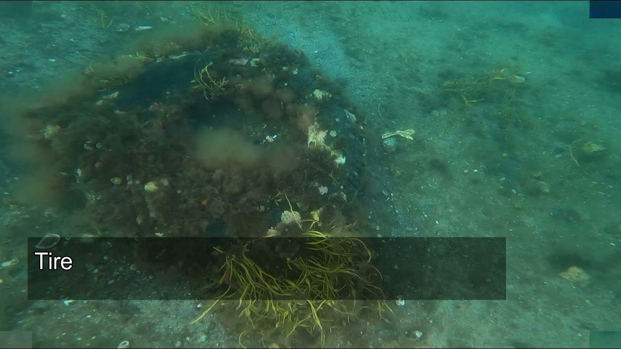 Highlights, Mill Cove Wharf, 14 September 2022