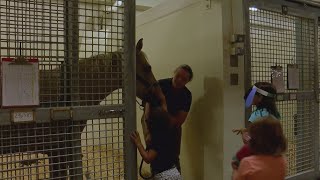 U of I vet med students share love for animals with community