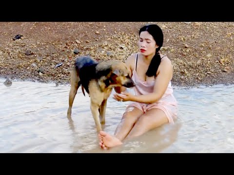 Wow !!! Amazing Beautiful Girl Playing With Do Smart & Funny Dog