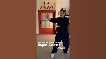 Bagua Zhang - Wu Long Bagua Style #qigong #kungfu #taichi #martialarts #wudang