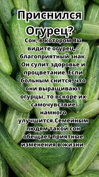 Приснился Огурец?Что это значит!Толкование сна! #толкованиесна # ...