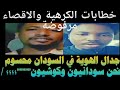 عاجل محمد عمر الشكري يحدد هوية السودان والنجومي يرد على الشكري بقوة السودان بلد افريقي ويسع الجميع 