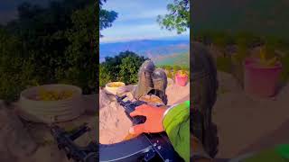 Army video, Army lover, Ssc, Agniveer exam, viral