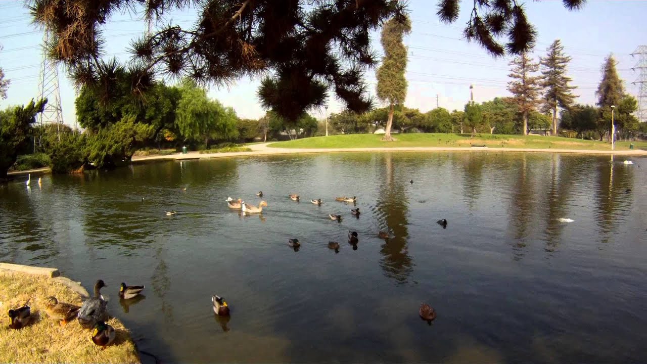 DOWNEY WILDERNESS PARK YouTube