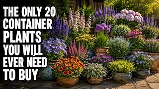 The 10-Year Payback: Why These 20 Elite Perennials Are Better Than Any Annual Plant