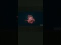 Labeling the fungi in The Last of Us intro #shorts