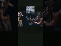 Fungi in The Last of Us