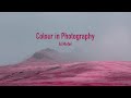 Use of Colour in Photography - a Look at Al Mefer's Art