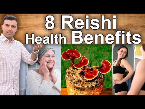 8 Reishi and Ganoderma Lucidum Uses - The Properties, Benefits and Medicinal Uses of Reishi