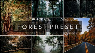 Forest Presets | Free DNG | Lightroom Mobile Presets | Lightroom Presets | Outdoor Presets screenshot 5