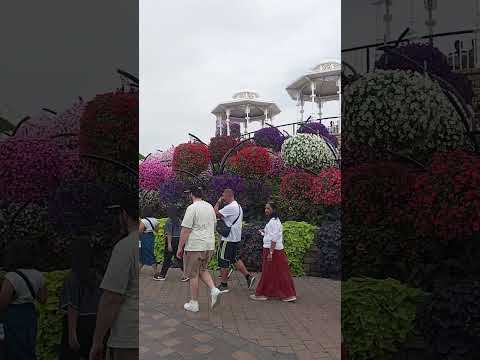 @flowersheart5774 #ihavethisthingwithplants Dubai miracle garden