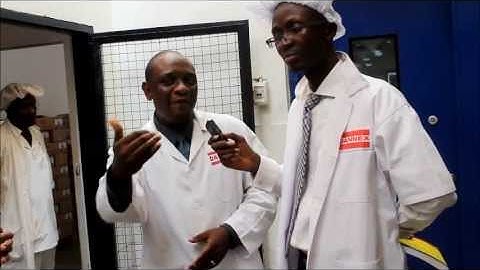 MDM CASE STUDY : DANNEX LIMITED