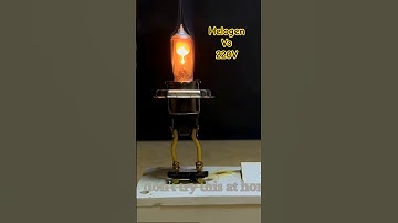 🤔🔥What happene if a helogen bulb connect 220 volt #experiment #youtubeshorts #shortvideo