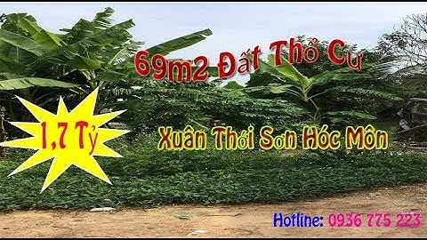 Đất Sổ Hồng Riêng Cực Rẻ Xuân Thới Sơn Hóc Môn 1,7 Tỷ