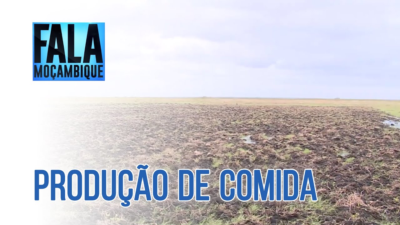 Camponeses de Machubo acumulam prejuízos nos campos de cultivo