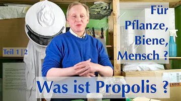 Was ist in Propolis enthalten?