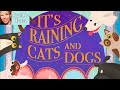 🐶 Kids Book Read Aloud: IT