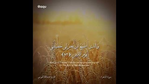 قرآن كريم بصوت القارئ: عبدالله الموسى || أجمل حالات واتس اب دينيه || مقاطع انستقرام 🍃