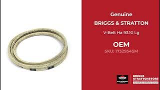 1732954SM V-Belt Ha 93.10 Lg - Briggs and Stratton - Genuine OEM Part