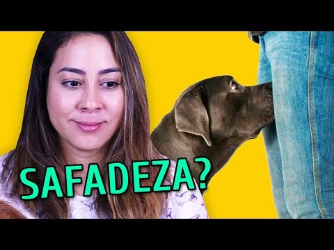 Vídeo: Seu Cachorro Cheira A Cachorro?