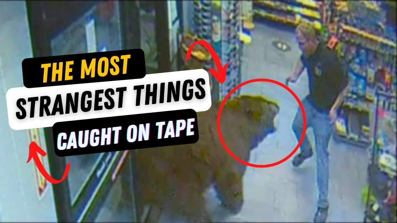 Unexpected And Strange Things You WON'T Believe Were Caught On Tape