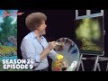 Bob Ross - Tranquil Wooded Stream (Season 26 Episode 9)