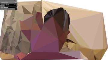 Video Delaunay Experiment with openFrameworks