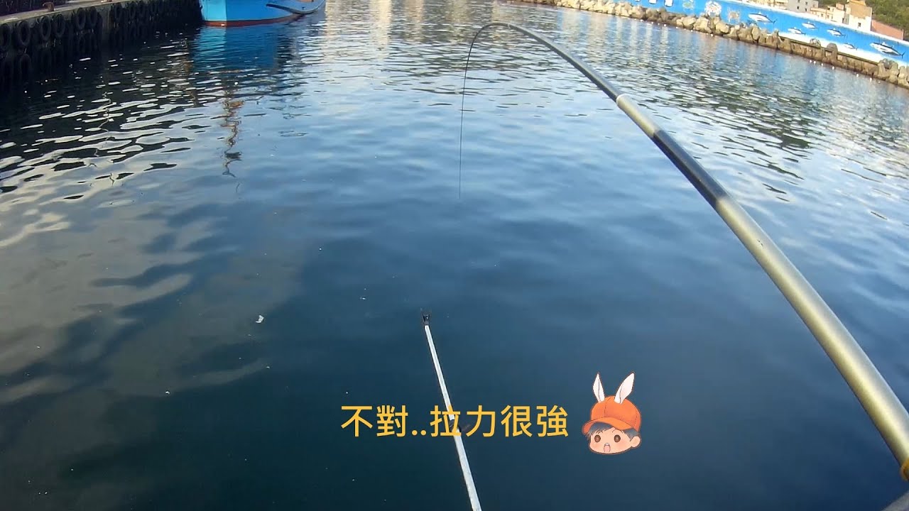 野柳漁港 釣況分享 Wild fishing in Taiwan. [嘟嘟釣魚狂