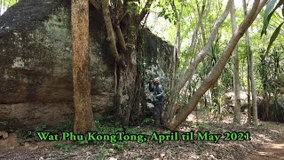 Cleaning the Forest:Cutting tropical vines (Liane) May 2021