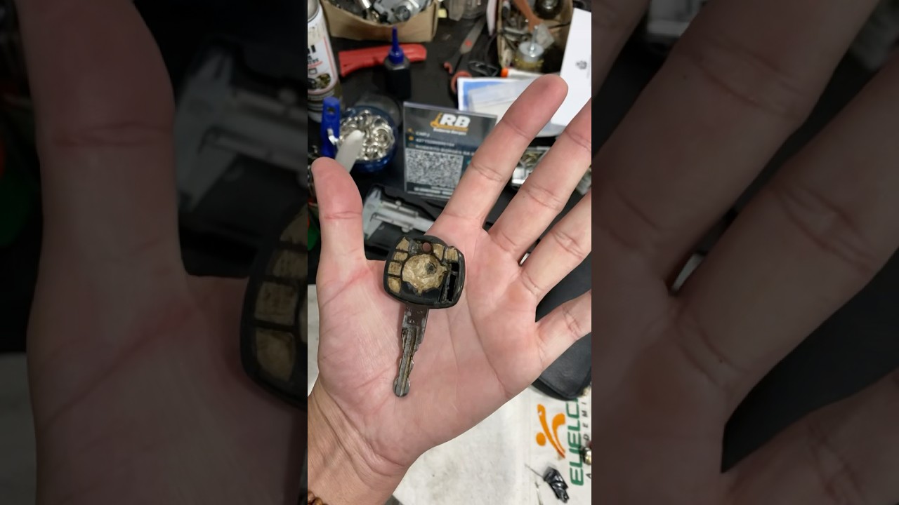 ANTES E DEPOIS - CHAVE MONTANA 