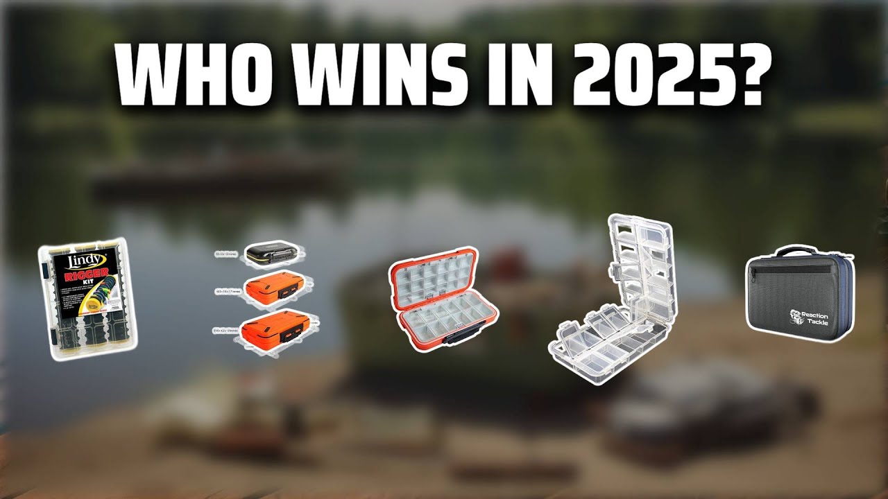 The Top 5 Best Hook Organizer in 2025 - Must Watch Before Buying!