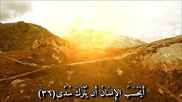 سورة القيامه بصوت القارئ حمزة بوديب برواية ورش عن نافع