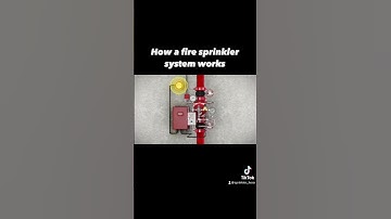 How a fire sprinkler system works. #fireprotection #extinguishers #deluge #firealarm
