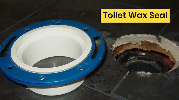 Drain Flies in Toilet & Bathroom: Getting Rid of Them!