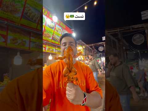 دل نداری تا آخر نبین غذا تست غذا 