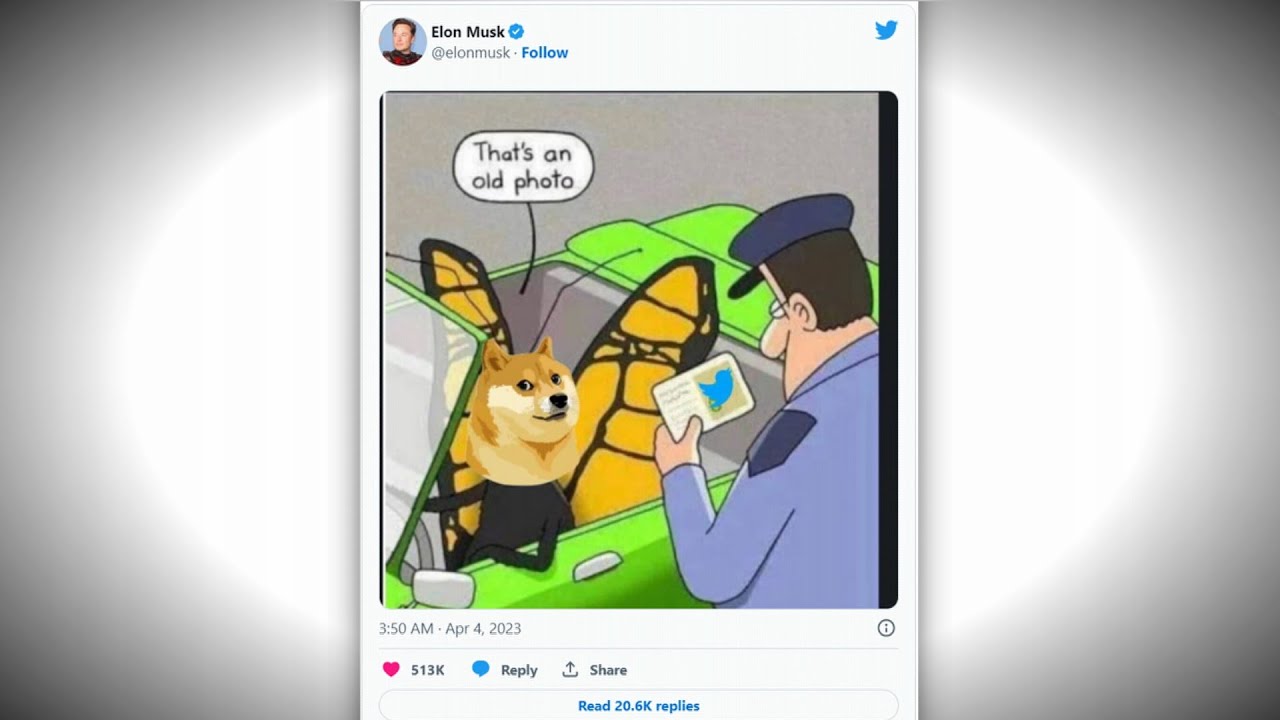 머스크, 트위터 로고 파랑새→시바견 교체하나 / 연합뉴스TV (YonhapnewsTV)